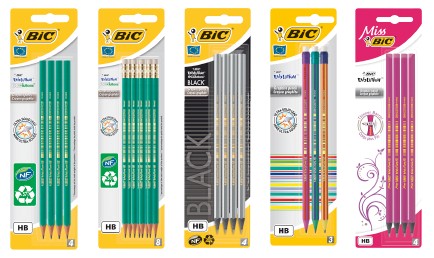 bic school4