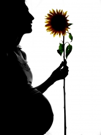 Podarować życie - in vitro