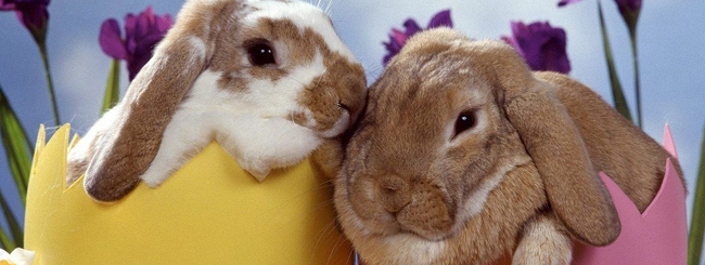 Święta w krzywym zwierciadle