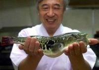 Ryby - smaczne i zdrowe, jednak wciąż niedoceniane