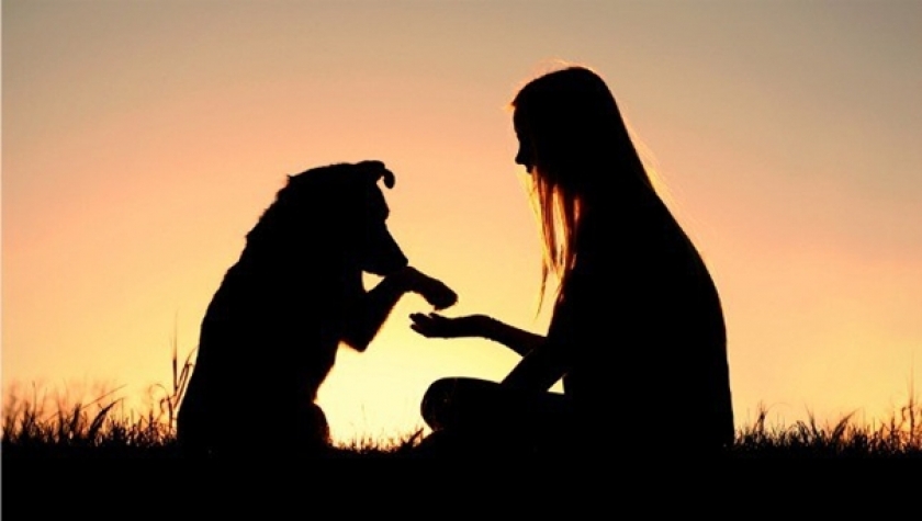 Pies a człowiek - czy nasz charakter ma wpływ na wybór pupila?