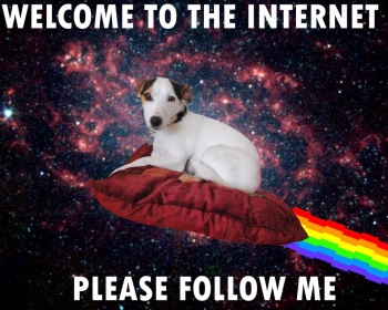 Memy - potęga obrazów