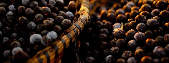 Super produkty, czyli te, które mają ogromne właściwości prozdrowotne